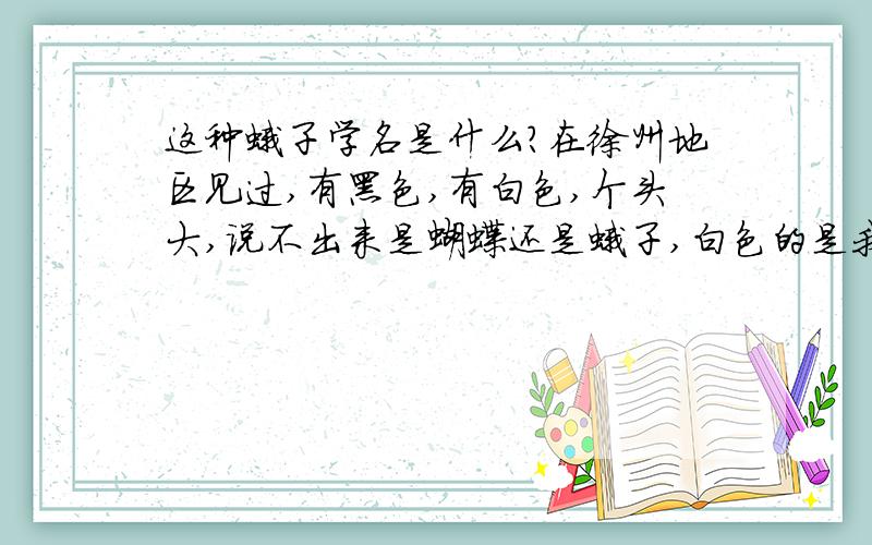 这种蛾子学名是什么?在徐州地区见过,有黑色,有白色,个头大,说不出来是蝴蝶还是蛾子,白色的是我在树上逮到的,但是不是在树干上而是在花儿上.而黑色的是在工厂的窗户玻璃上见过,当时它