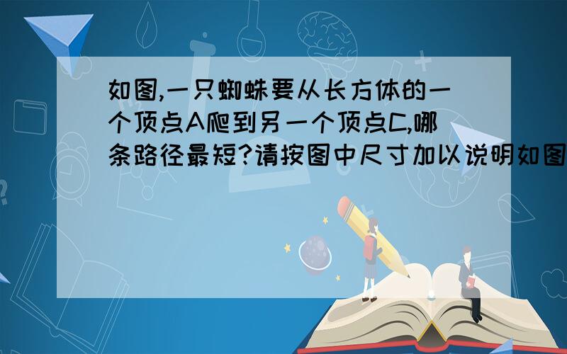 如图,一只蜘蛛要从长方体的一个顶点A爬到另一个顶点C,哪条路径最短?请按图中尺寸加以说明如图,一只蜘蛛要从长方体的一个顶点A爬到另一个顶点C,哪条路径最短?请按图中尺寸加以说明.（