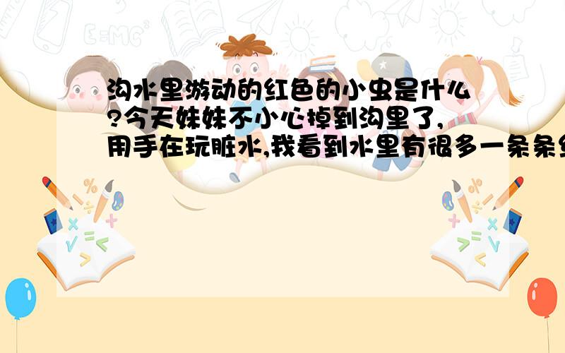 沟水里游动的红色的小虫是什么?今天妹妹不小心掉到沟里了,用手在玩脏水,我看到水里有很多一条条红色的游动的小虫,它们会不会钻到我妹妹皮肤里去寄生啊?怎么可能啊，血吸虫要有钉螺