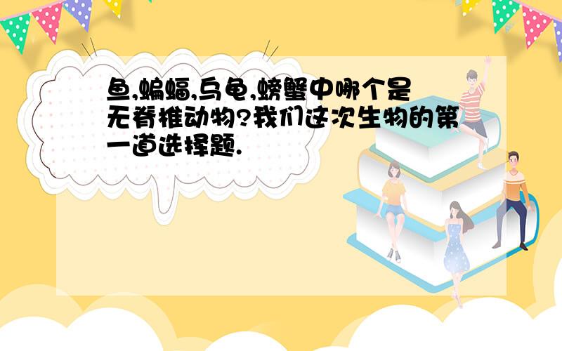 鱼,蝙蝠,乌龟,螃蟹中哪个是无脊椎动物?我们这次生物的第一道选择题.