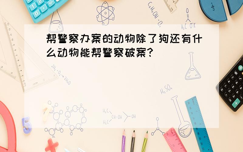 帮警察办案的动物除了狗还有什么动物能帮警察破案?