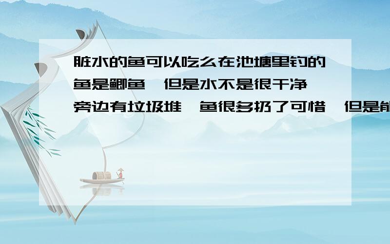 脏水的鱼可以吃么在池塘里钓的鱼是鲫鱼,但是水不是很干净,旁边有垃圾堆,鱼很多扔了可惜,但是能吃么?顺便说一句池塘不是很大,垃圾堆不是很脏.