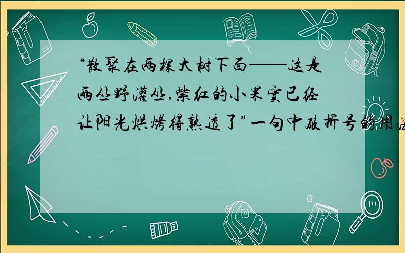 “散聚在两棵大树下面——这是两丛野灌丛,紫红的小果实已经让阳光烘烤得熟透了”一句中破折号的用法