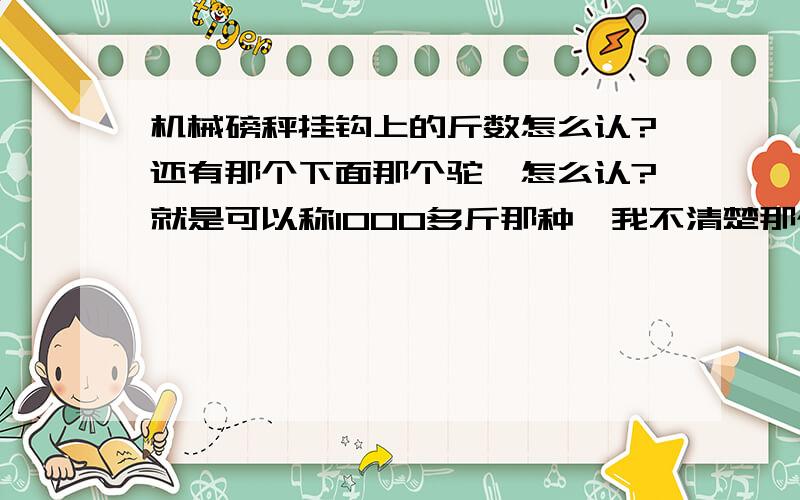 机械磅秤挂钩上的斤数怎么认?还有那个下面那个驼,怎么认?就是可以称1000多斤那种,我不清楚那个杆上面怎么认识?相隔多少?