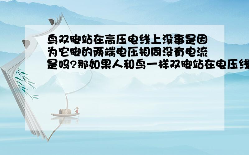 鸟双脚站在高压电线上没事是因为它脚的两端电压相同没有电流是吗?那如果人和鸟一样双脚站在电压线上是不是也不会触电?