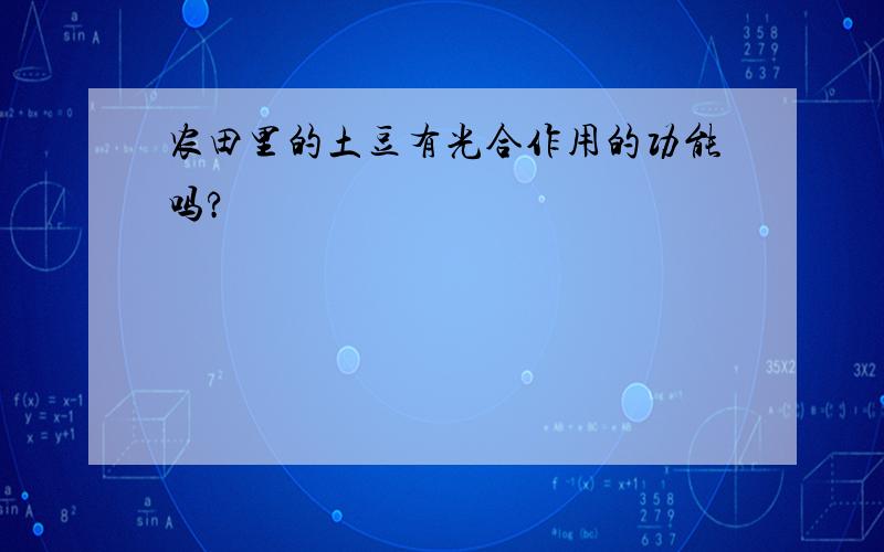 农田里的土豆有光合作用的功能吗?