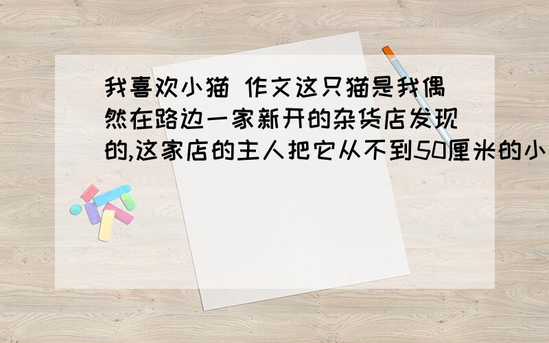 我喜欢小猫 作文这只猫是我偶然在路边一家新开的杂货店发现的,这家店的主人把它从不到50厘米的小猫养成了一只很可爱,很漂亮的小猫,我经常和他玩,他跟我熟了,经常对我喵喵的叫.它是一