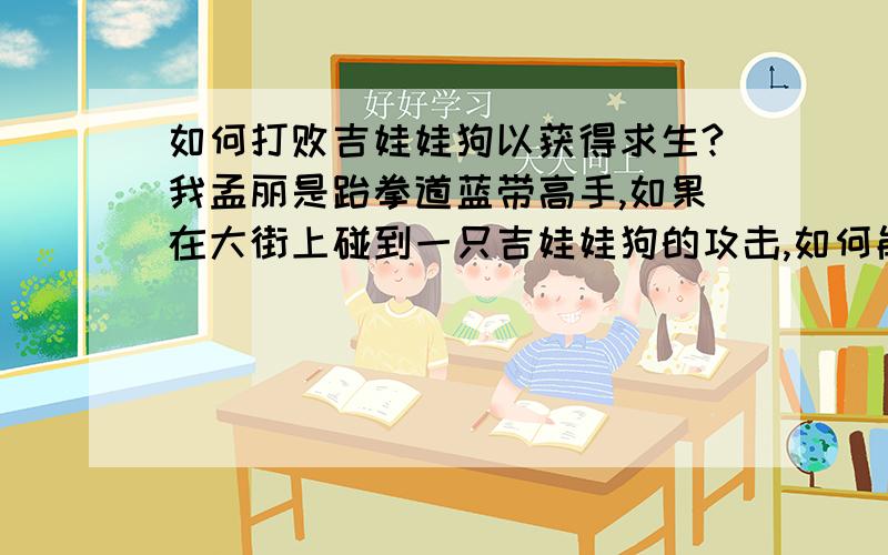 如何打败吉娃娃狗以获得求生?我孟丽是跆拳道蓝带高手,如果在大街上碰到一只吉娃娃狗的攻击,如何能置之 SI 地 而 后生?打败 吉娃娃狗,以获得求