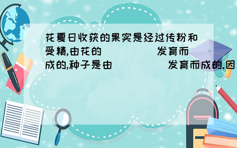 花夏日收获的果实是经过传粉和受精,由花的_____发育而成的,种子是由_____发育而成的.因此_____和______是花最重要的结构.（七年级人教版生物学填空题,填子房之类的）