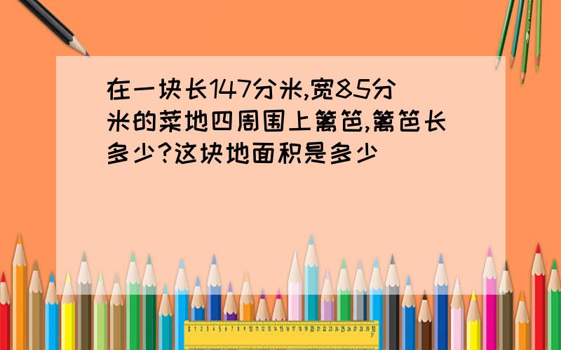 在一块长147分米,宽85分米的菜地四周围上篱笆,篱笆长多少?这块地面积是多少