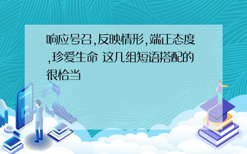 响应号召,反映情形,端正态度,珍爱生命 这几组短语搭配的很恰当