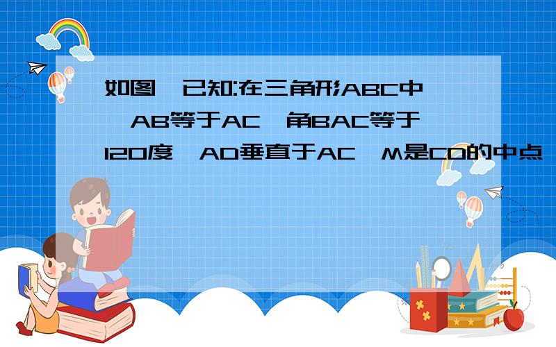 如图,已知:在三角形ABC中,AB等于AC,角BAC等于120度,AD垂直于AC,M是CD的中点,试说明:AM等于BD