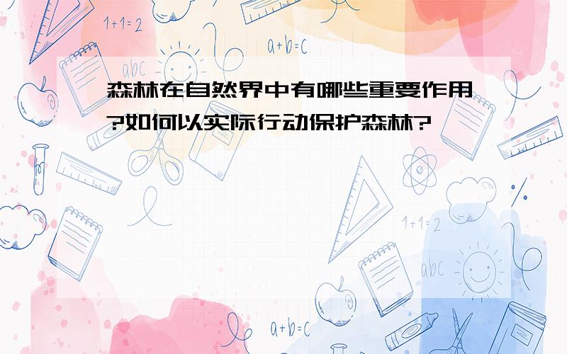 森林在自然界中有哪些重要作用?如何以实际行动保护森林?