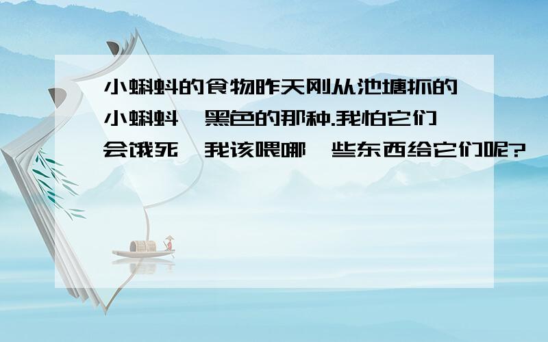 小蝌蚪的食物昨天刚从池塘抓的小蝌蚪,黑色的那种.我怕它们会饿死,我该喂哪一些东西给它们呢?