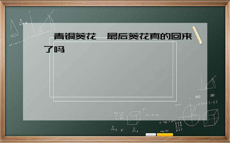 《青铜葵花》最后葵花真的回来了吗
