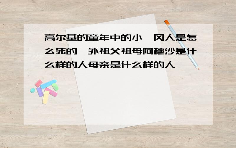 高尔基的童年中的小茨冈人是怎么死的,外祖父祖母阿穆沙是什么样的人母亲是什么样的人