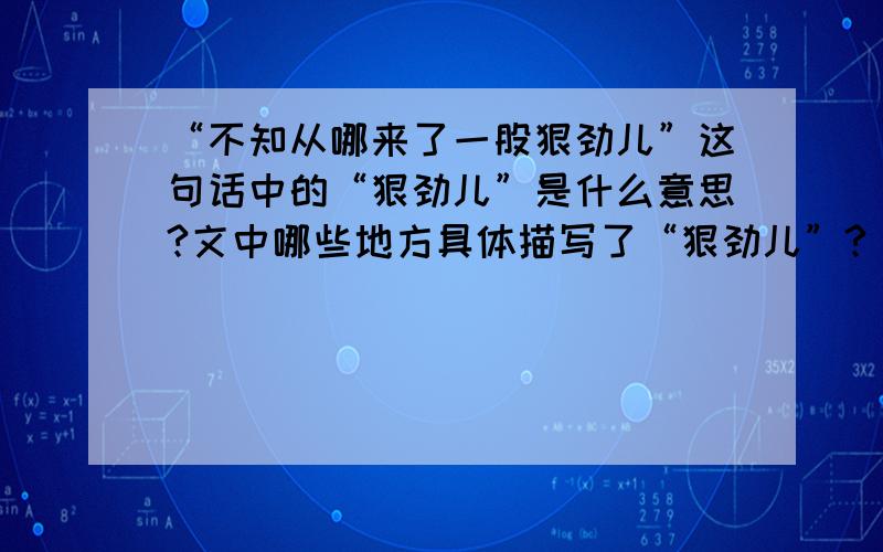 “不知从哪来了一股狠劲儿”这句话中的“狠劲儿”是什么意思?文中哪些地方具体描写了“狠劲儿”?