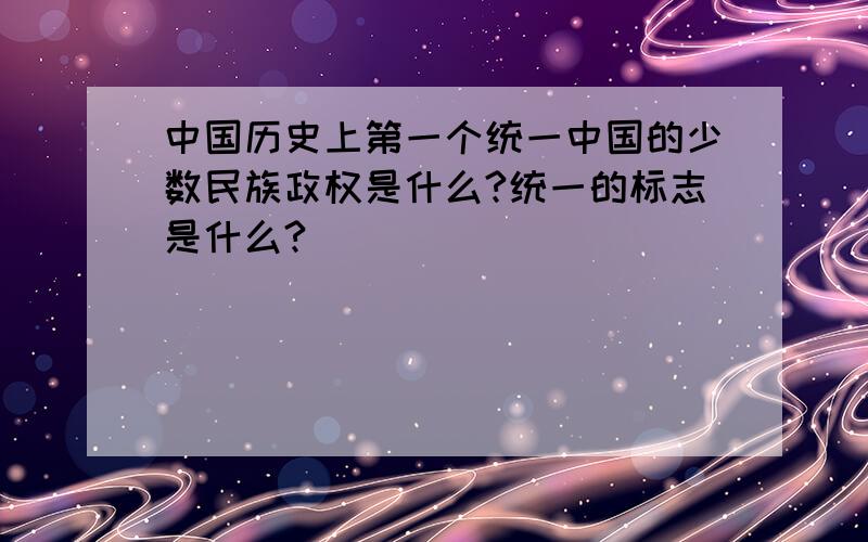 中国历史上第一个统一中国的少数民族政权是什么?统一的标志是什么?