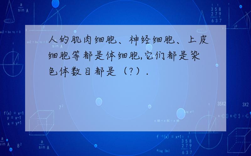 人的肌肉细胞、神经细胞、上皮细胞等都是体细胞,它们都是染色体数目都是（?）.