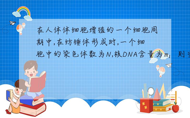 在人体体细胞增殖的一个细胞周期中,在纺锤体形成时,一个细胞中的染色体数为N,核DNA含量为m；则当该细胞中染色单体消失时,此细胞中的染色体数和核DNA含量分别是2N m why