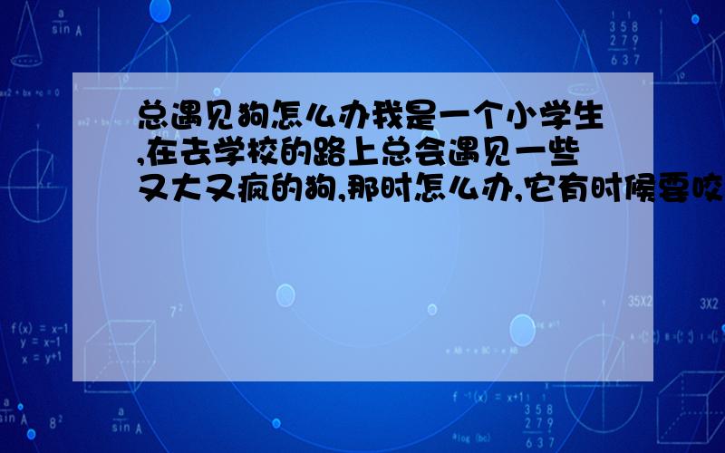 总遇见狗怎么办我是一个小学生,在去学校的路上总会遇见一些又大又疯的狗,那时怎么办,它有时候要咬我,有时候站在那对我叫,还有时候一直望着我,我该肿么办