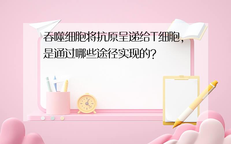 吞噬细胞将抗原呈递给T细胞,是通过哪些途径实现的?