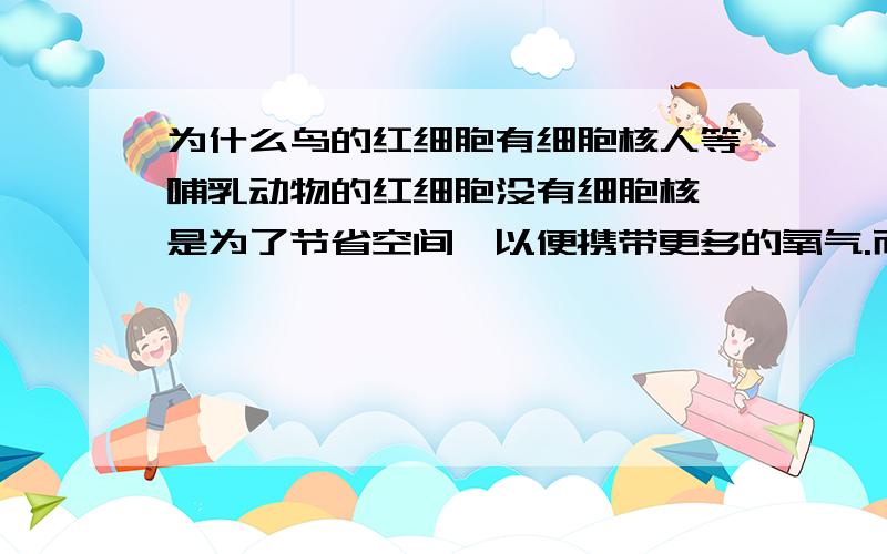 为什么鸟的红细胞有细胞核人等哺乳动物的红细胞没有细胞核,是为了节省空间,以便携带更多的氧气.而鸟类飞行会耗费很多氧气,而鸟内红细胞却有细胞核,这是为什么呢?