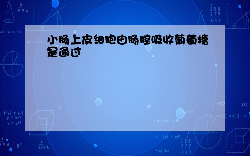 小肠上皮细胞由肠腔吸收葡萄糖是通过