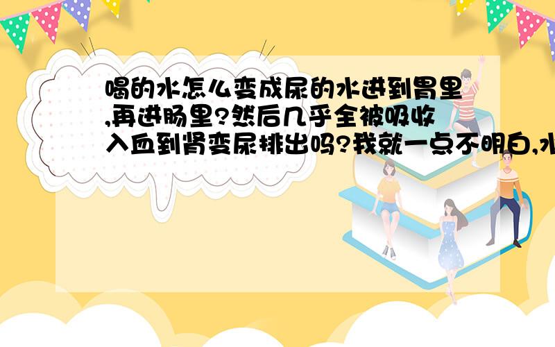 喝的水怎么变成尿的水进到胃里,再进肠里?然后几乎全被吸收入血到肾变尿排出吗?我就一点不明白,水在肠里怎么就能吸收的这么干净~排大便的时候水为啥就不一起流出来?你的意思是水在胃