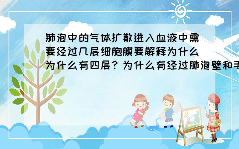 肺泡中的气体扩散进入血液中需要经过几层细胞膜要解释为什么为什么有四层？为什么有经过肺泡壁和毛细血管壁有两层细胞膜？