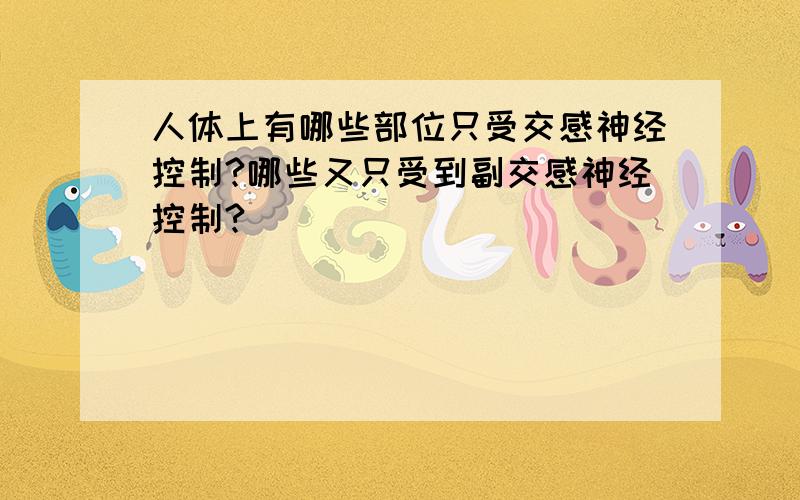 人体上有哪些部位只受交感神经控制?哪些又只受到副交感神经控制?