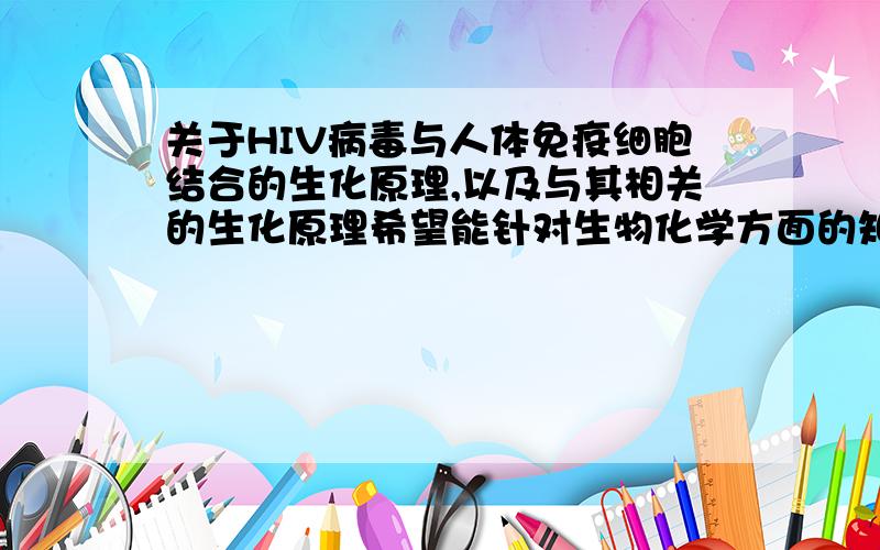 关于HIV病毒与人体免疫细胞结合的生化原理,以及与其相关的生化原理希望能针对生物化学方面的知识解释