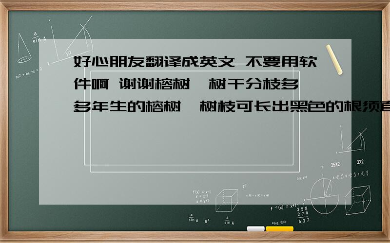 好心朋友翻译成英文 不要用软件啊 谢谢榕树,树干分枝多,多年生的榕树,树枝可长出黑色的根须直垂地下,当它扎入土中时,又成为树干.久而久之,一棵树变成了一片森林.