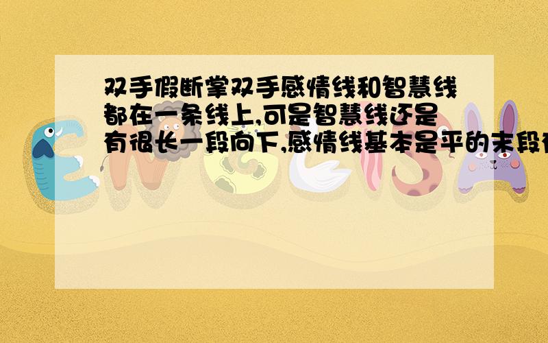 双手假断掌双手感情线和智慧线都在一条线上,可是智慧线还是有很长一段向下,感情线基本是平的末段有点向下.很多人都说有这种手的人以后一定会事业有成.帮我解释一下,如果正常生活下