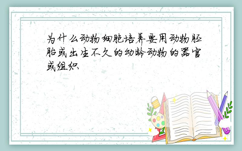 为什么动物细胞培养要用动物胚胎或出生不久的幼龄动物的器官或组织