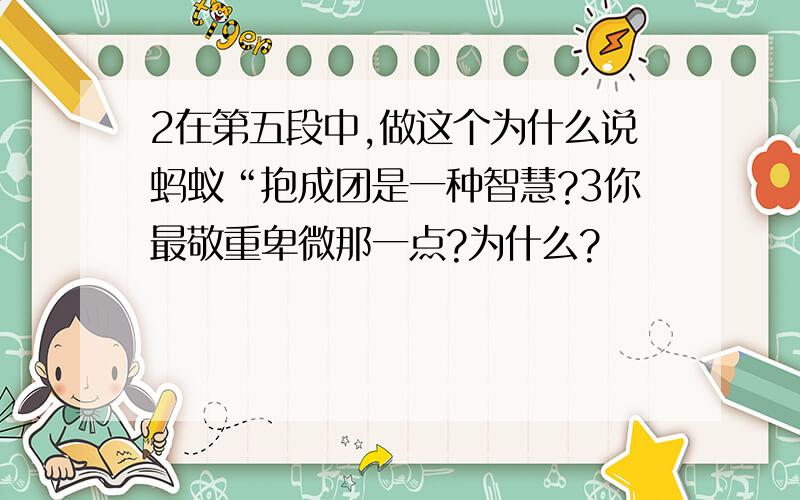 2在第五段中,做这个为什么说蚂蚁“抱成团是一种智慧?3你最敬重卑微那一点?为什么?