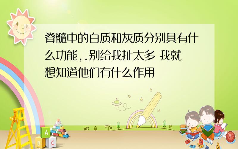 脊髓中的白质和灰质分别具有什么功能,.别给我扯太多 我就想知道他们有什么作用