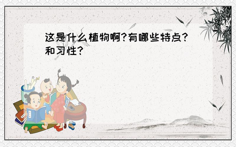 这是什么植物啊?有哪些特点?和习性?