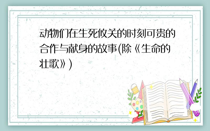 动物们在生死攸关的时刻可贵的合作与献身的故事(除《生命的壮歌》)