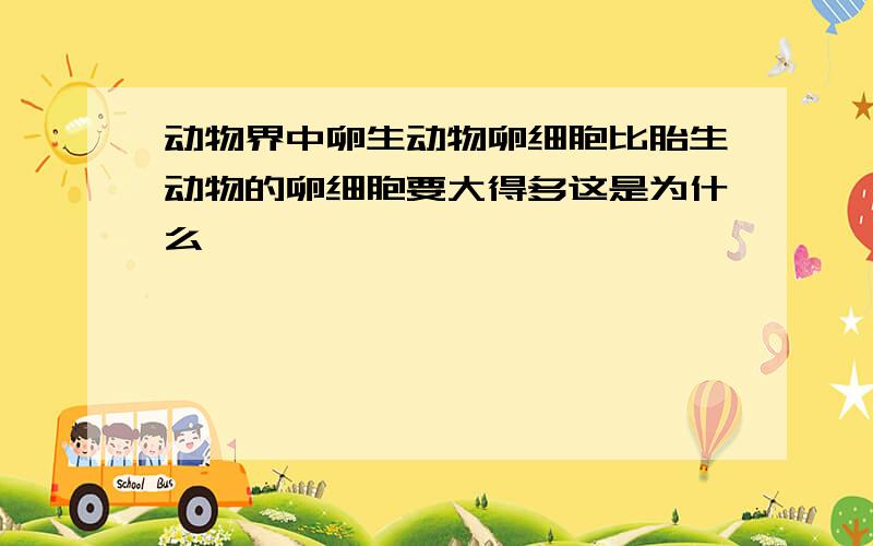 动物界中卵生动物卵细胞比胎生动物的卵细胞要大得多这是为什么