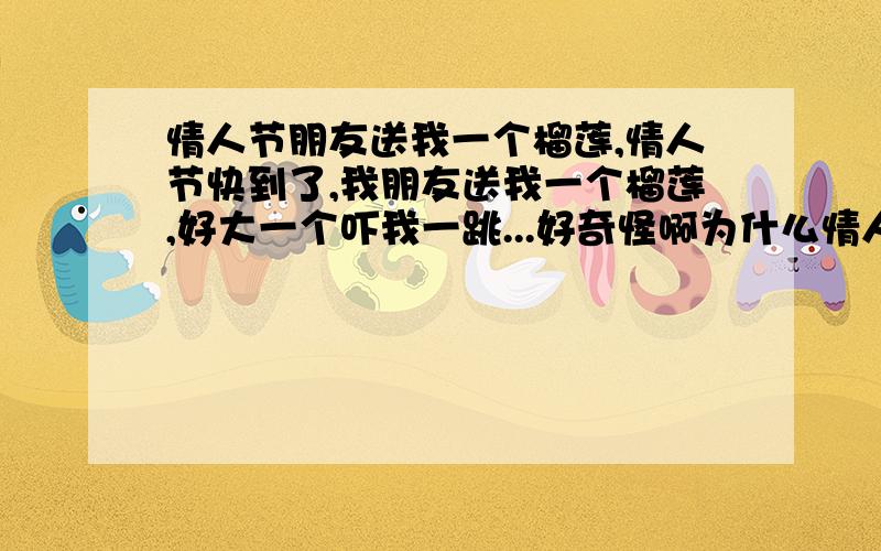 情人节朋友送我一个榴莲,情人节快到了,我朋友送我一个榴莲,好大一个吓我一跳...好奇怪啊为什么情人节送榴莲...