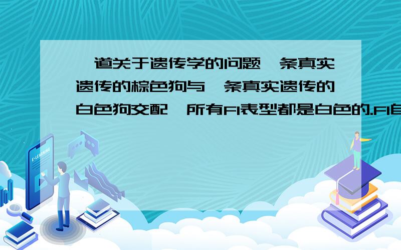 一道关于遗传学的问题一条真实遗传的棕色狗与一条真实遗传的白色狗交配,所有F1表型都是白色的.F1自交得到的F2代中,有118条白色狗、32条黑色狗和10条棕色狗.请给出这一结果的遗传学解释