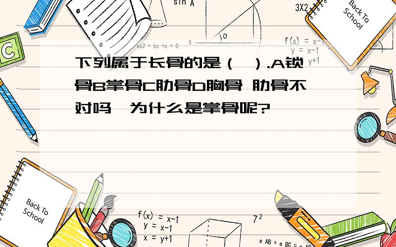 下列属于长骨的是（ ）.A锁骨B掌骨C肋骨D胸骨 肋骨不对吗,为什么是掌骨呢?