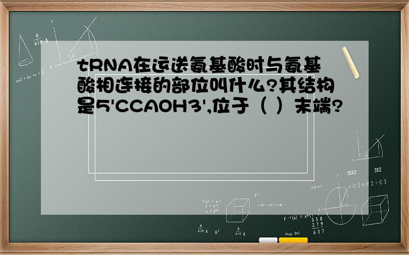 tRNA在运送氨基酸时与氨基酸相连接的部位叫什么?其结构是5'CCAOH3',位于（ ）末端?