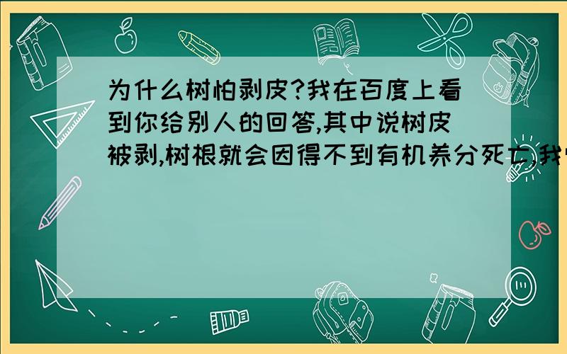 为什么树怕剥皮?我在百度上看到你给别人的回答,其中说树皮被剥,树根就会因得不到有机养分死亡,我觉得不应该是树的枝干得不到地下的养分而死亡的么?