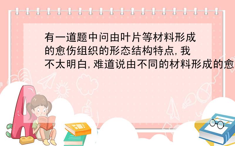 有一道题中问由叶片等材料形成的愈伤组织的形态结构特点,我不太明白,难道说由不同的材料形成的愈伤组...有一道题中问由叶片等材料形成的愈伤组织的形态结构特点,我不太明白,难道说由