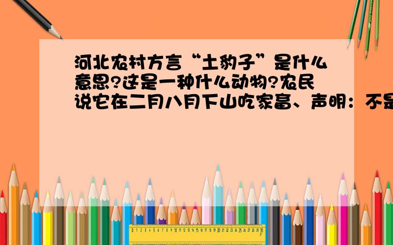 河北农村方言“土豹子”是什么意思?这是一种什么动物?农民说它在二月八月下山吃家畜、声明：不是土人、山炮的意思!