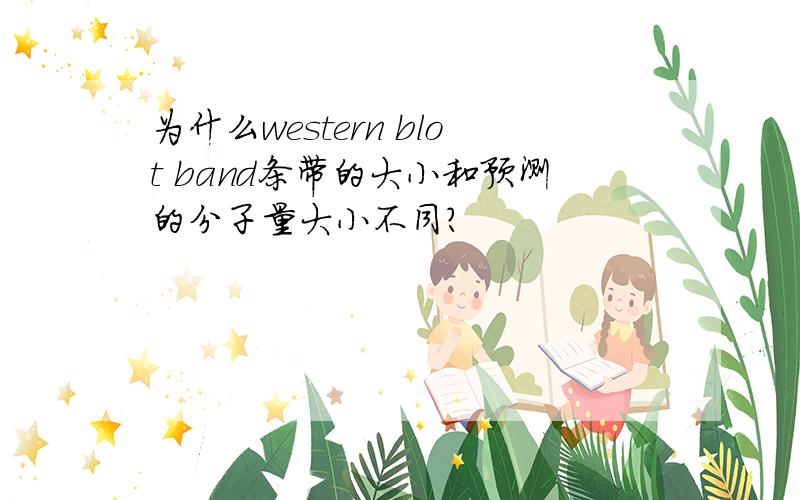 为什么western blot band条带的大小和预测的分子量大小不同?