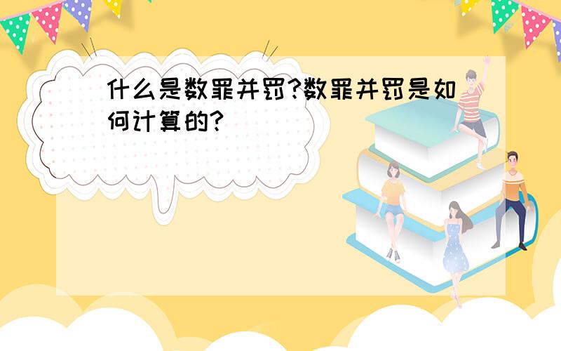 什么是数罪并罚?数罪并罚是如何计算的?