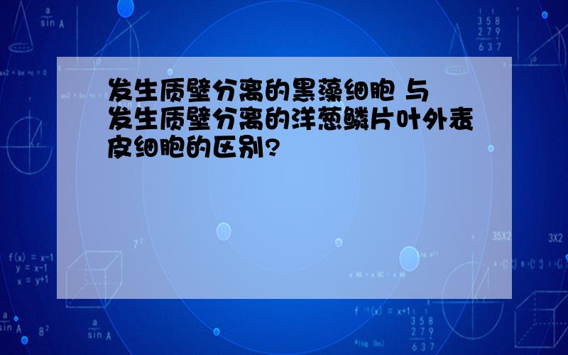 发生质壁分离的黑藻细胞 与 发生质壁分离的洋葱鳞片叶外表皮细胞的区别?